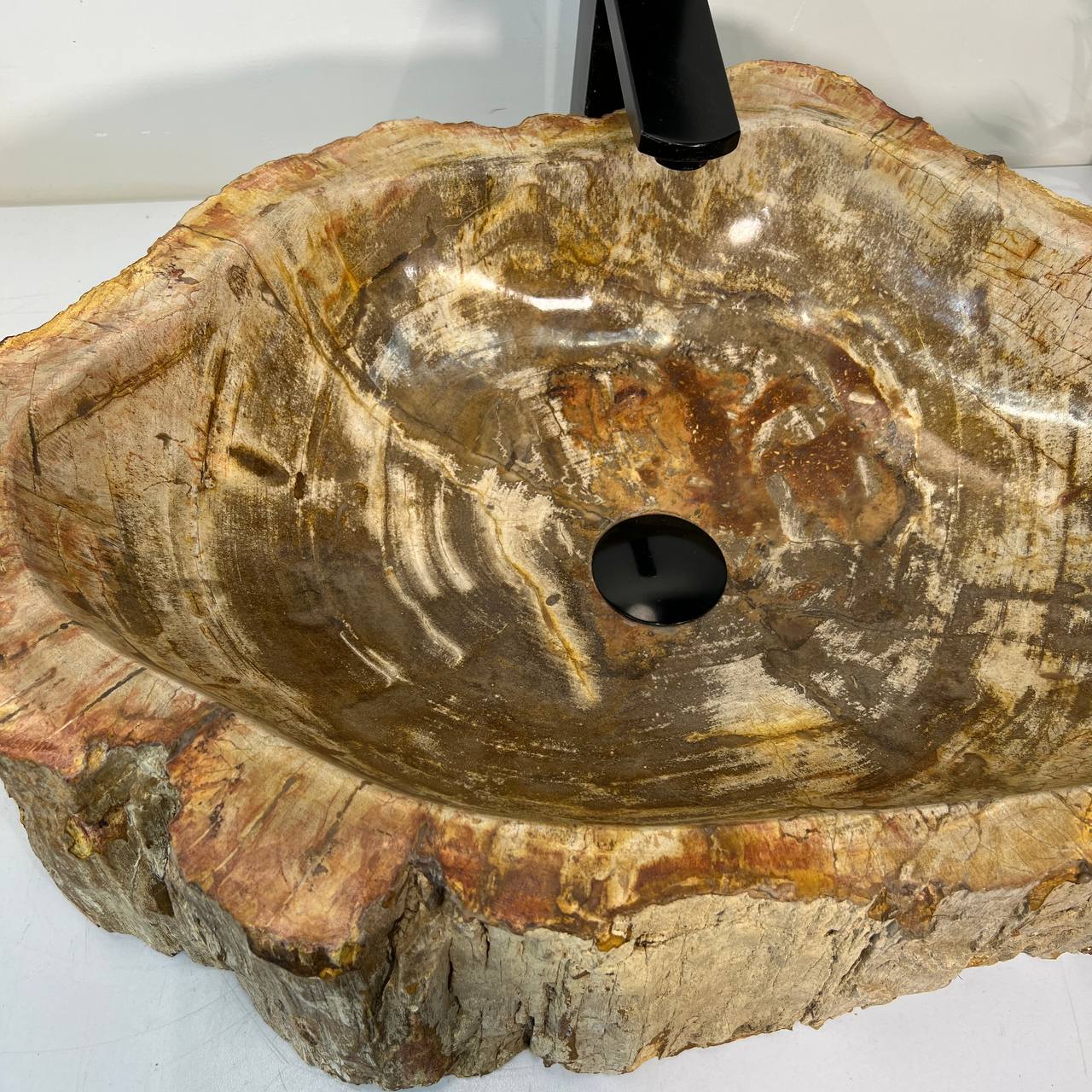 Раковина из окаменелого дерева ПАРА! OD-67011 63*46*16 из натурального камня