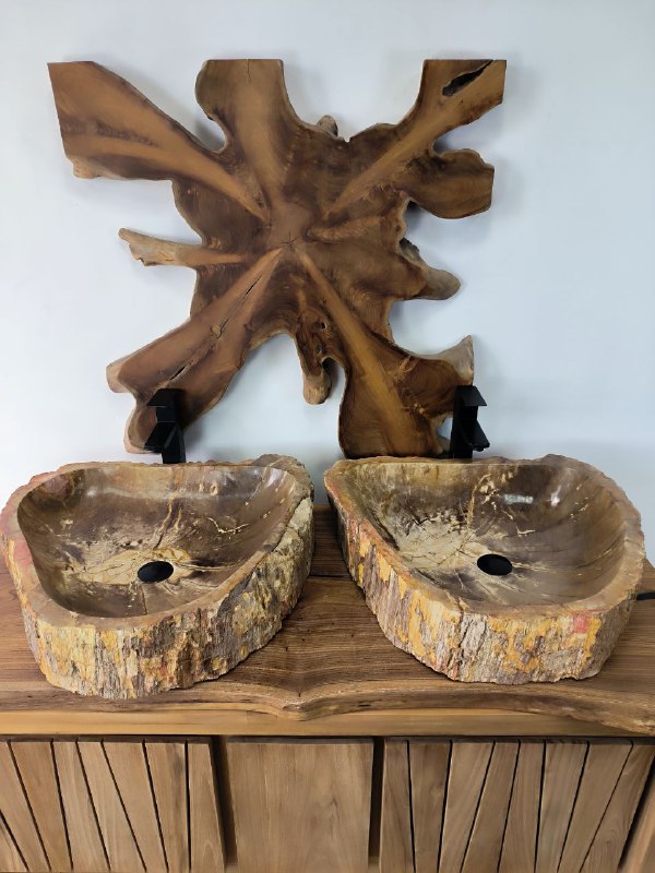 Раковины из окаменелого дерева парные