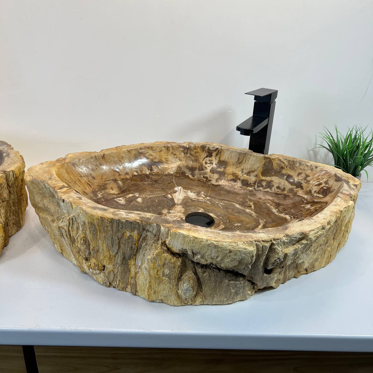 Раковина из окаменелого дерева ПАРА! OD-66906 70*47*15 из натурального камня