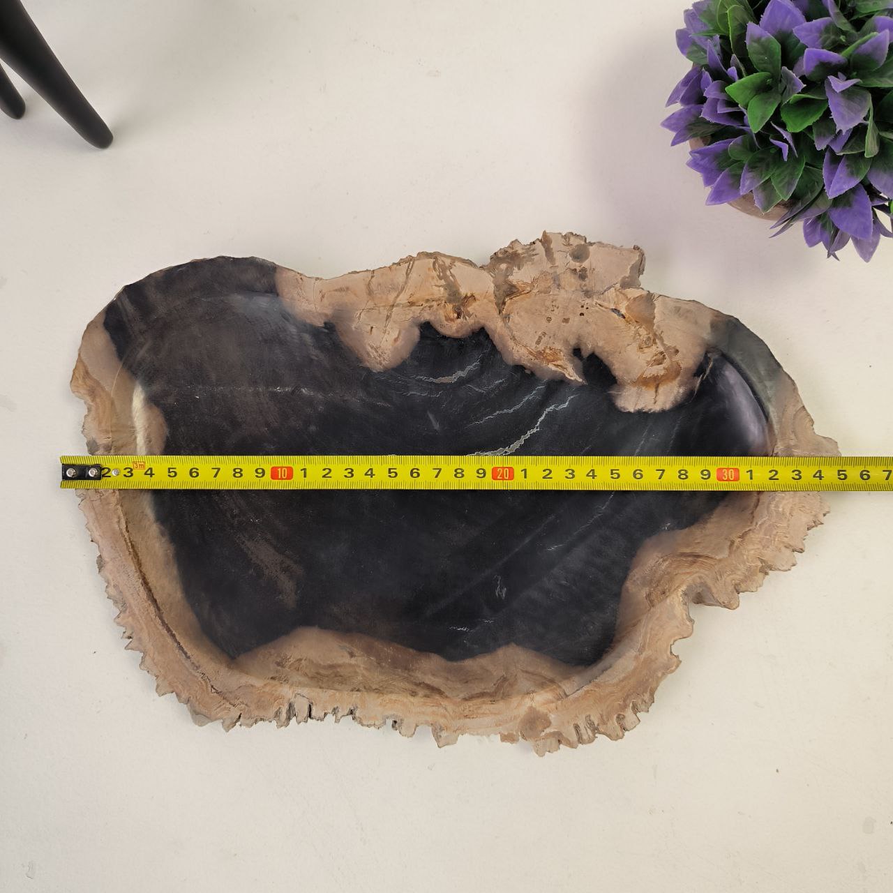 ov291uj5588a33v4xqq8plx0e0x2p9wg