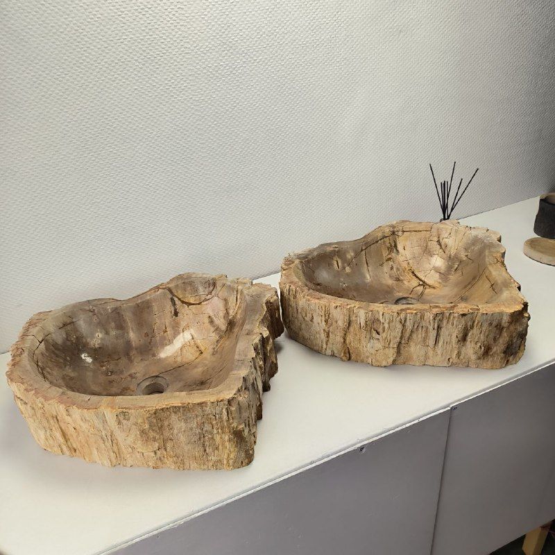 Раковина из окаменелого дерева ПАРА! OD-62096 55*55*15 2шт из натурального камня