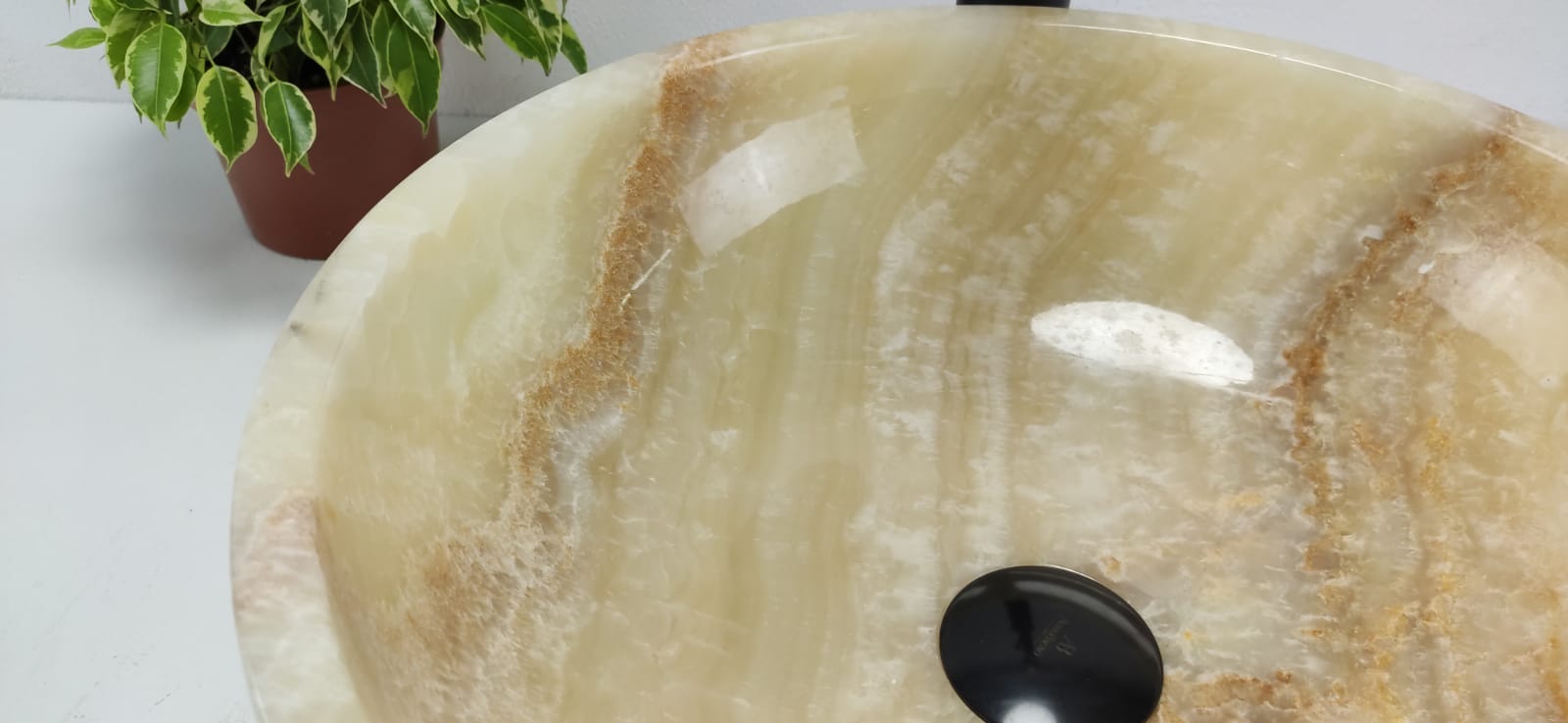 x5fn838c2k5cjz6swc05evp59j8hhzko