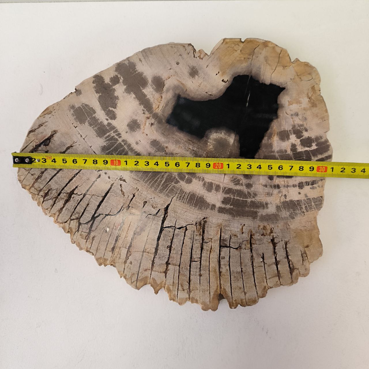 xoa6o99x2ta2z8v66g1af7ale4ugp5b0