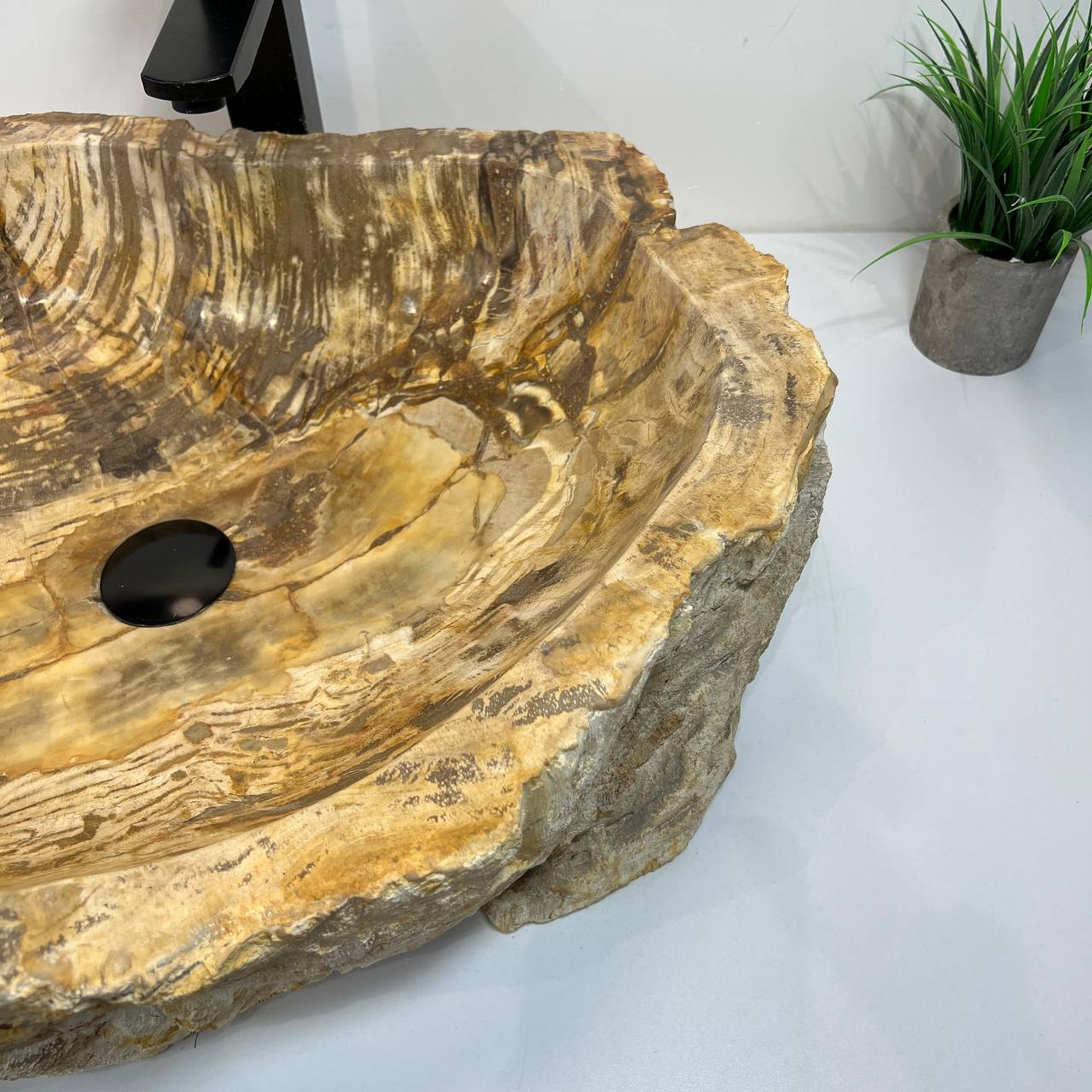 Раковина из окаменелого дерева ПАРА! OD-66907 63*49*15 из натурального камня