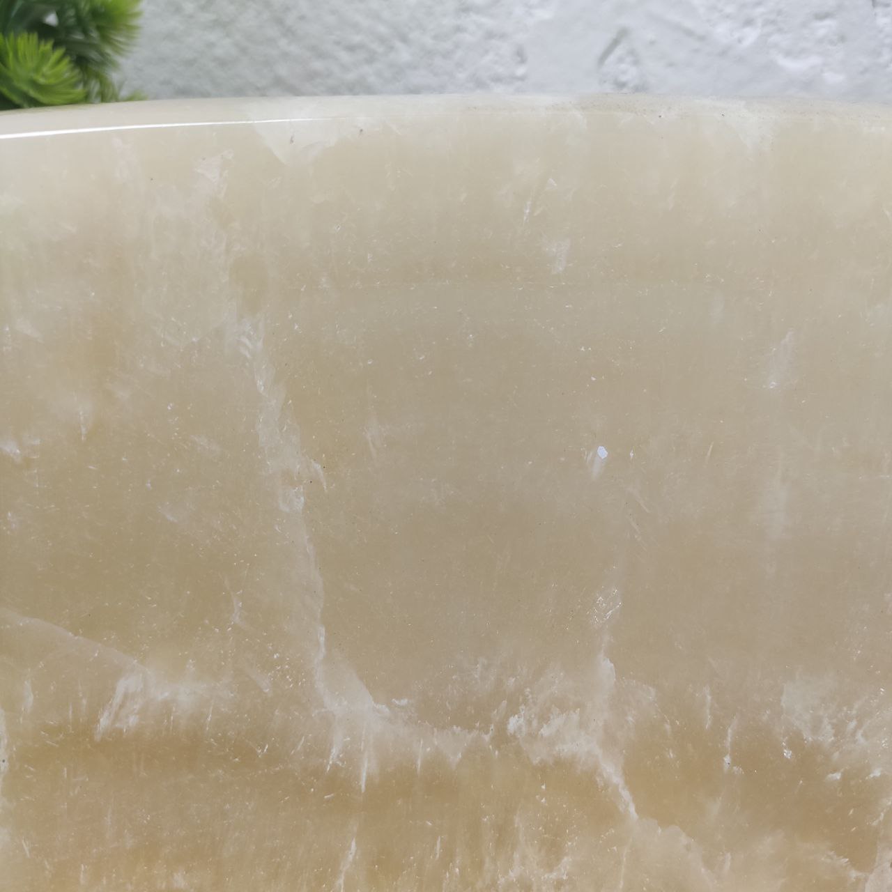 sazc5xih8en02yp7ga6jxgxvcyix0xsn