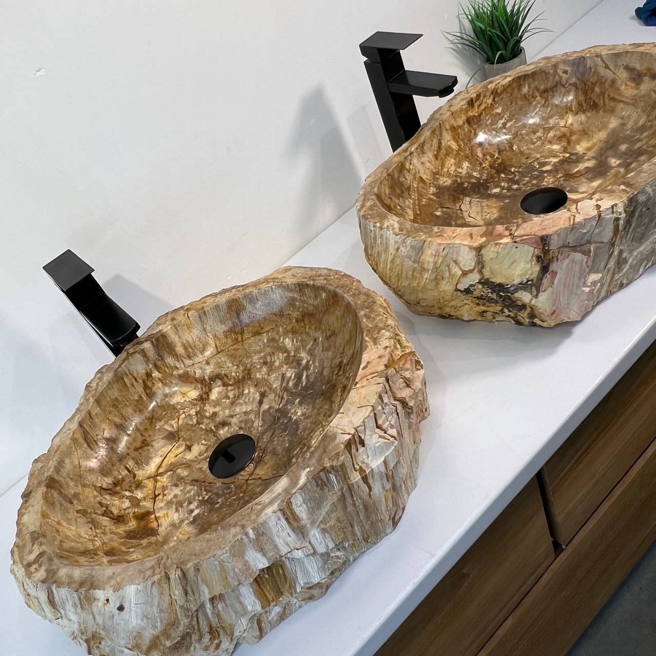 Раковина из окаменелого дерева ПАРА! OD-66941 53*42*15 из натурального камня