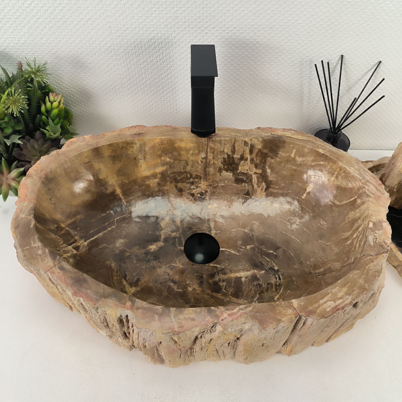 Раковина из окаменелого дерева от 60см до 69см шириной