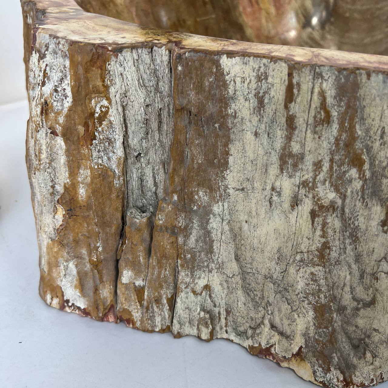 Раковина из окаменелого дерева ПАРА! OD-67004 51*44*16 из натурального камня