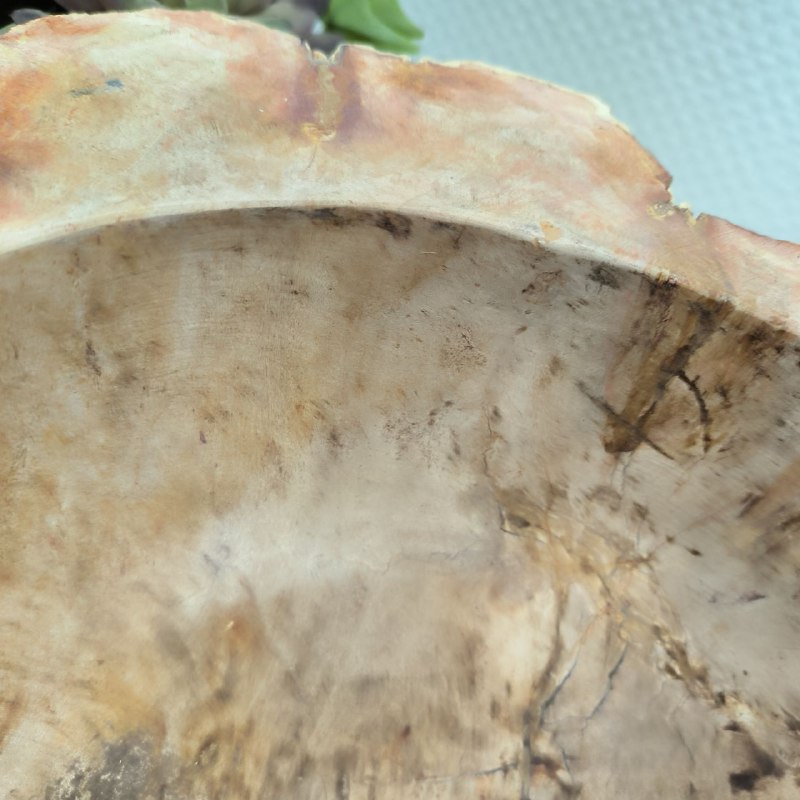 rw0o2raqvj643m7gxr8dygpgd8e6d8kd