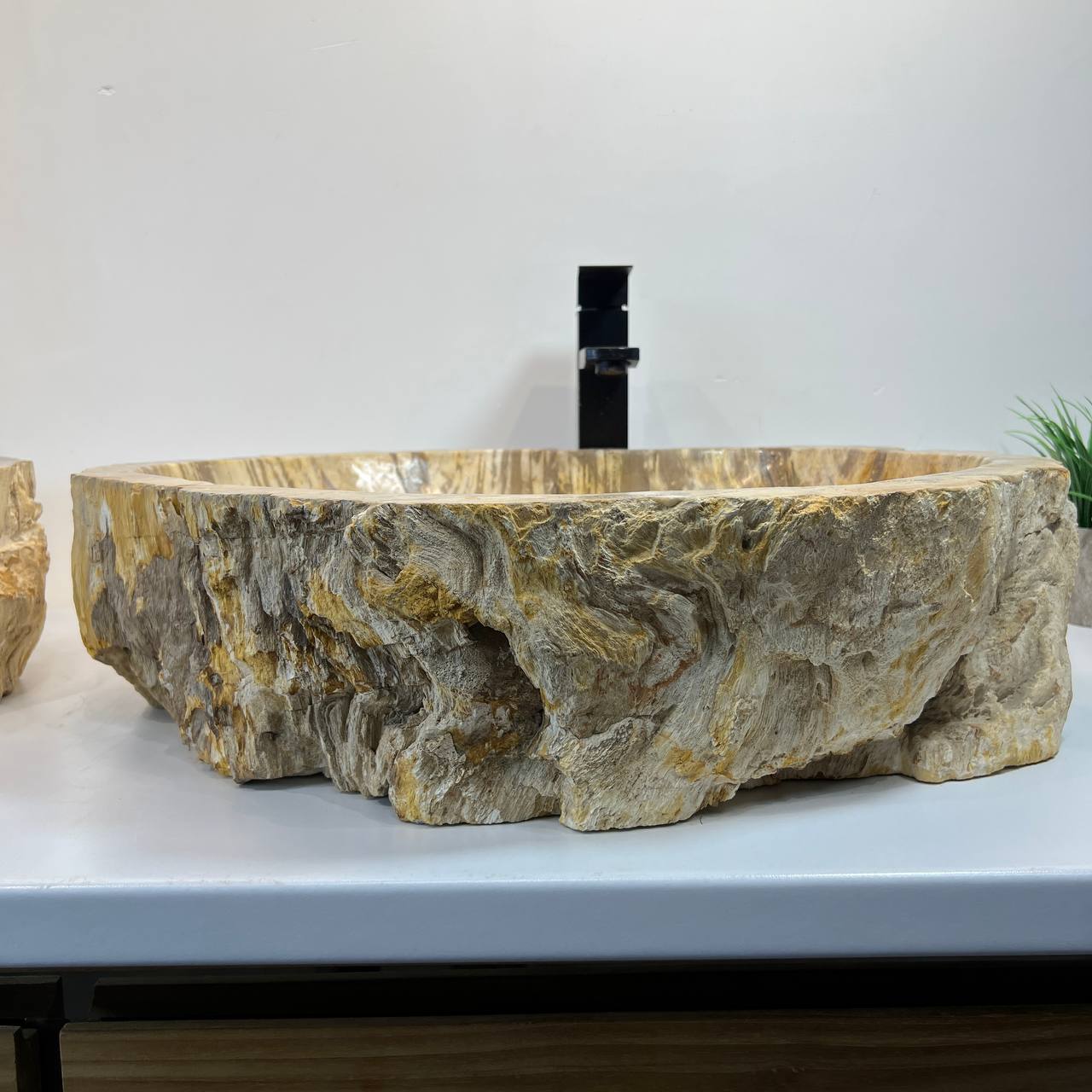 Раковина из окаменелого дерева ПАРА! OD-66907 63*49*15 из натурального камня