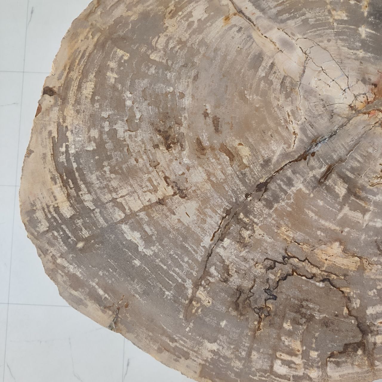 5kldtr52o7go62z7oqw2gco1qpcg4w0q