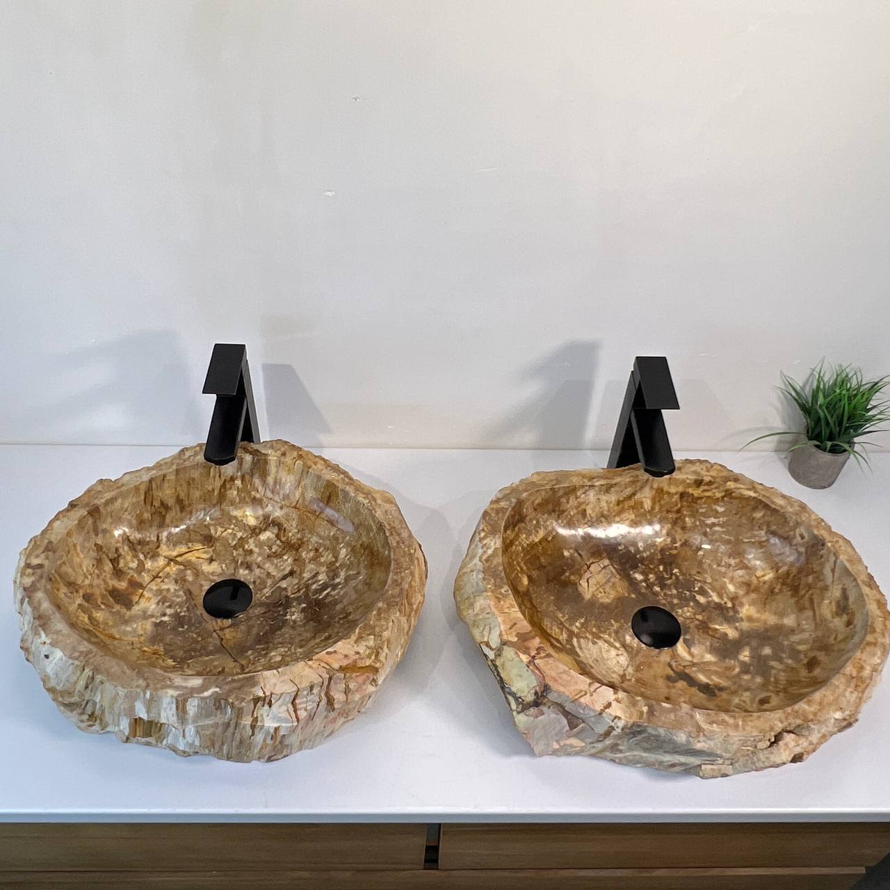 Раковина из окаменелого дерева ПАРА! OD-66941 53*42*15 из натурального камня