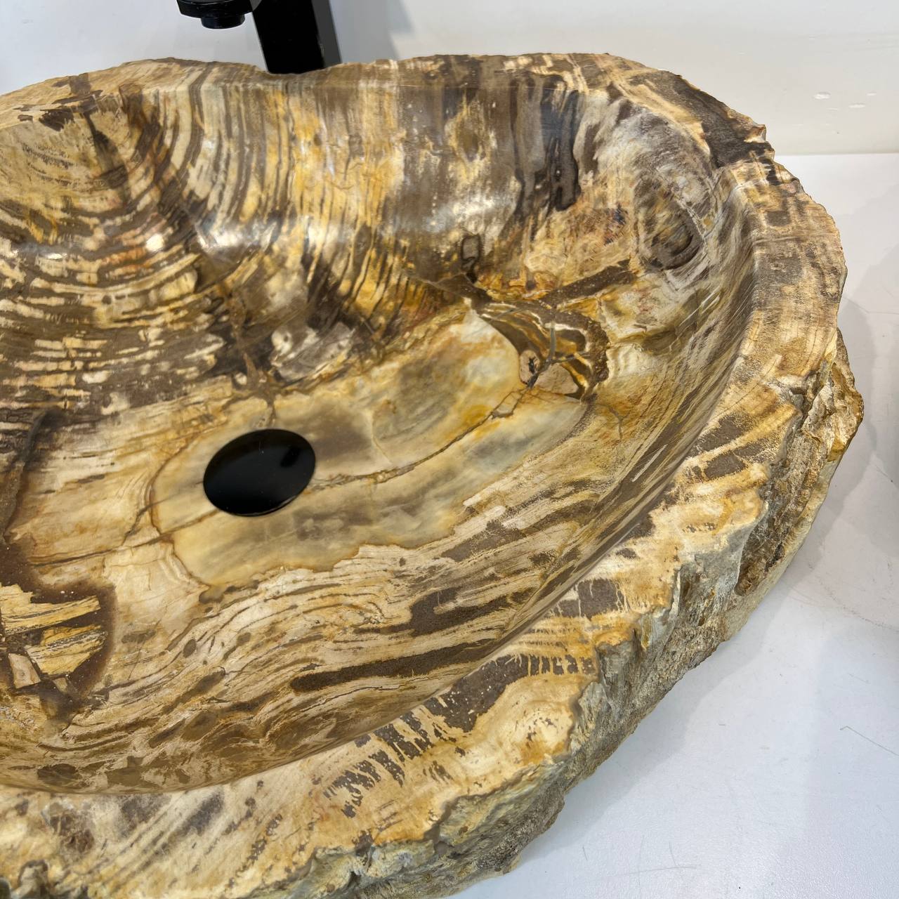 Раковина из окаменелого дерева ПАРА! OD-66907 63*49*15 из натурального камня