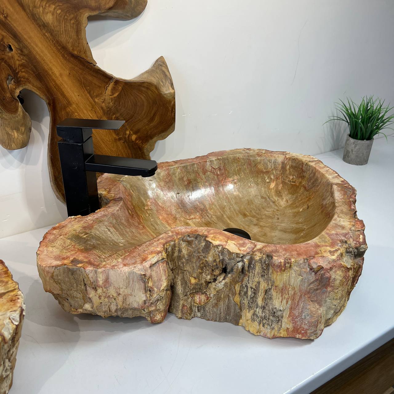 Раковина из окаменелого дерева ПАРА! OD-66876 62*45*16 из натурального камня