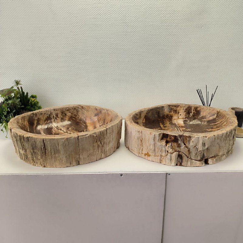 Раковина из окаменелого дерева ПАРА! OD-62099 57*46*16 2шт из натурального камня