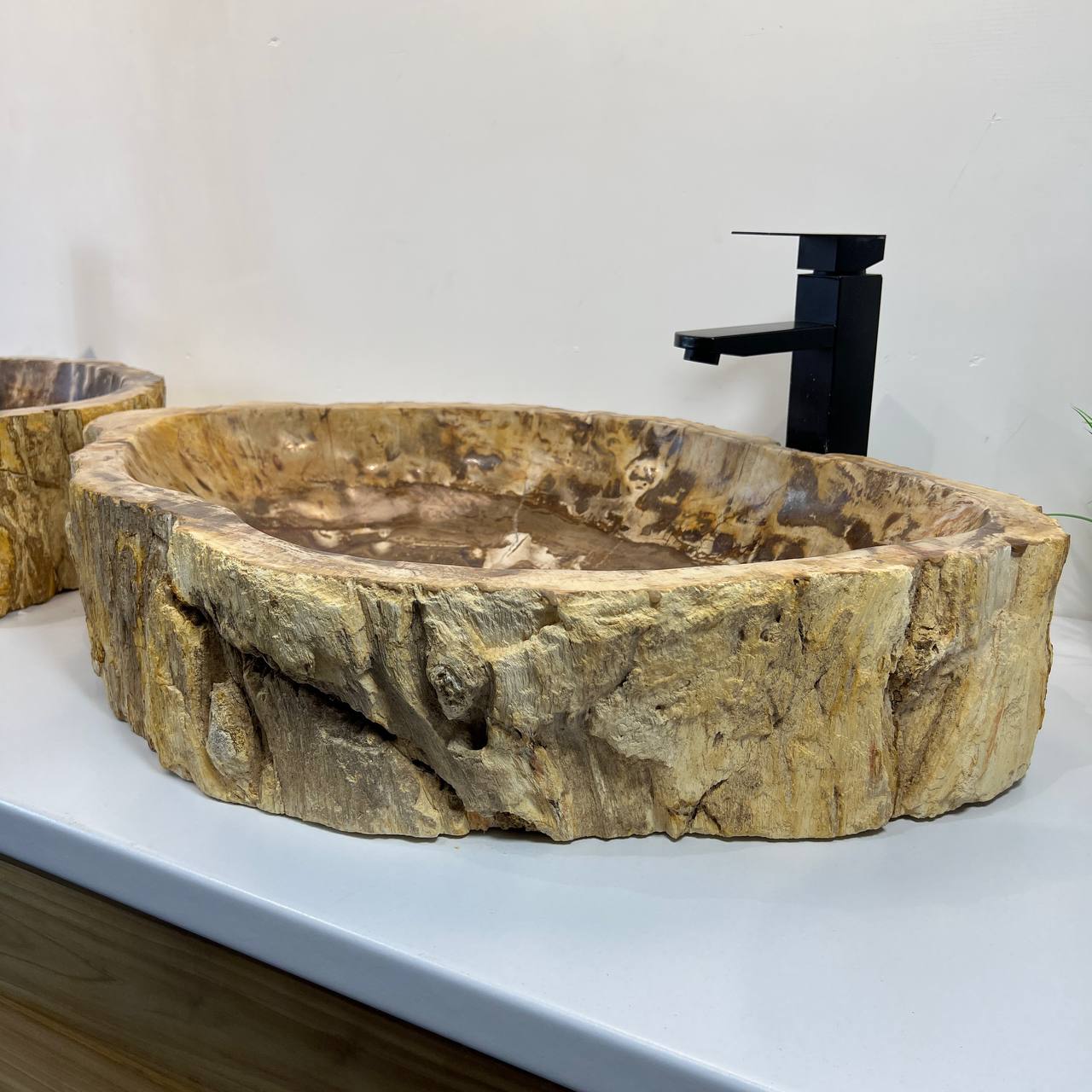 Раковина из окаменелого дерева ПАРА! OD-66906 70*47*15 из натурального камня