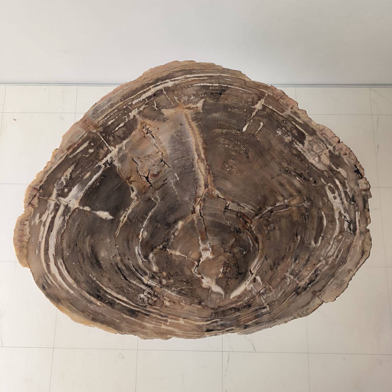 dhw0xs5bn2c0qvyavk55dgzgy9mf1c0u