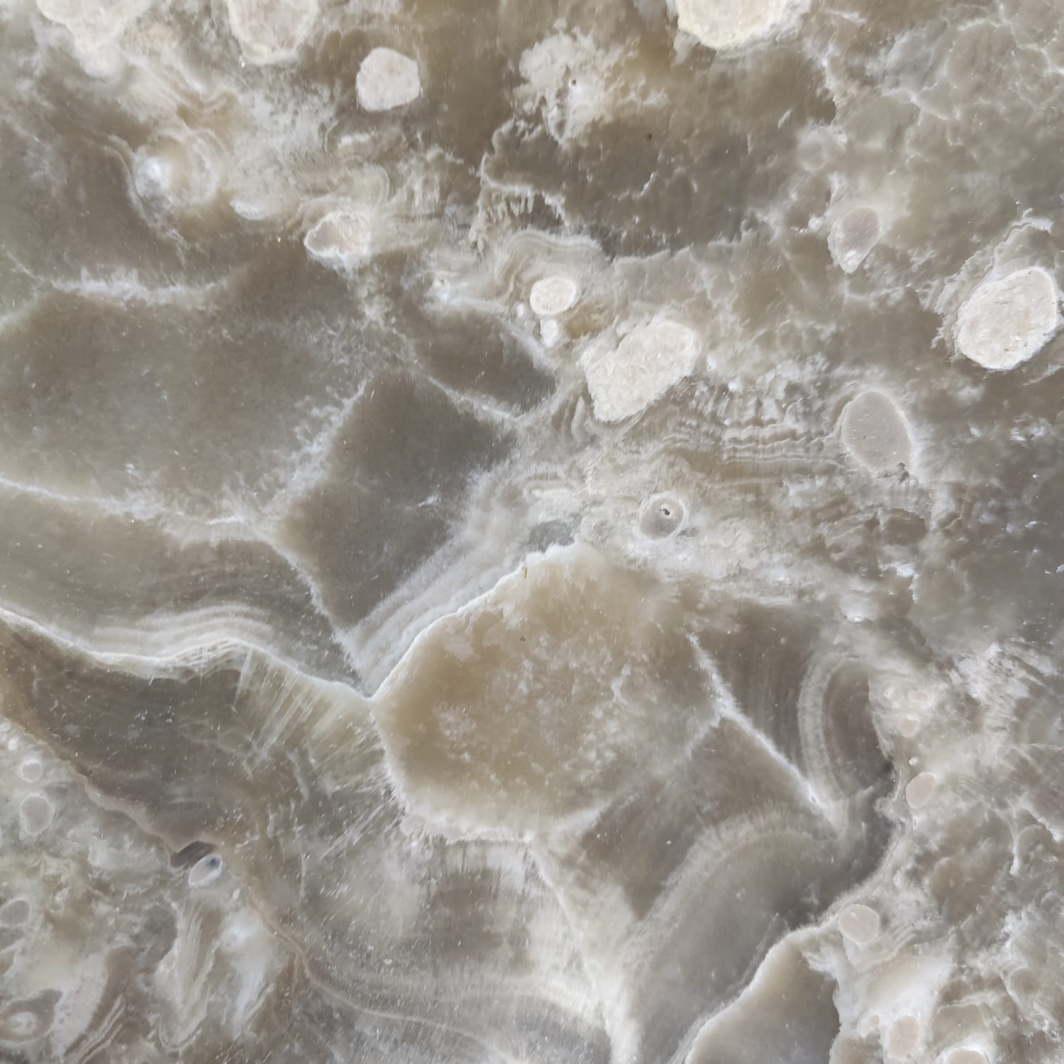 m0mlug2qsvet3ewdv4k2q1xpahrdloyc