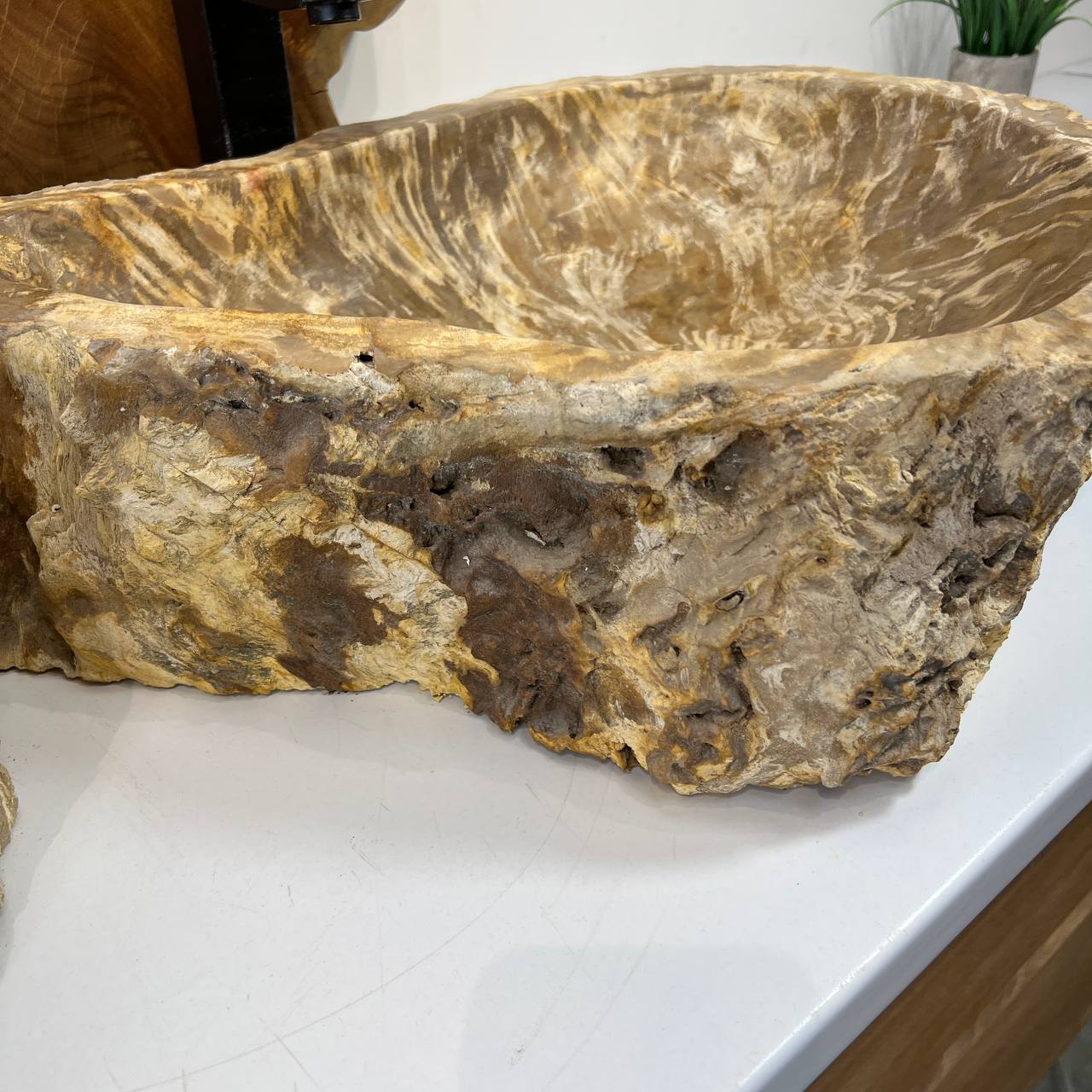 Раковина из окаменелого дерева ПАРА! OD-66877 60*47*15 из натурального камня