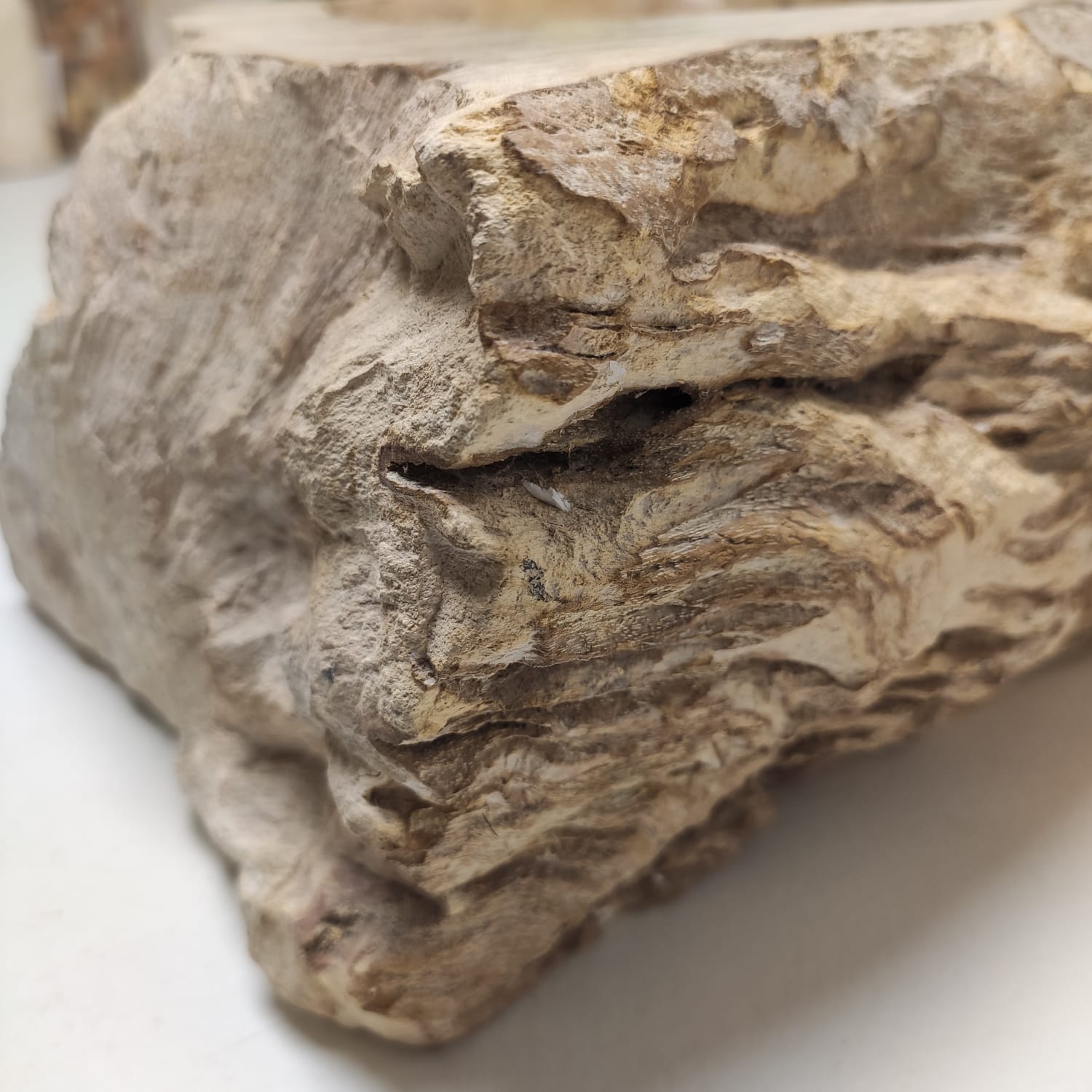 wb228daqalrf65ile3iv7cmm50wkfxub