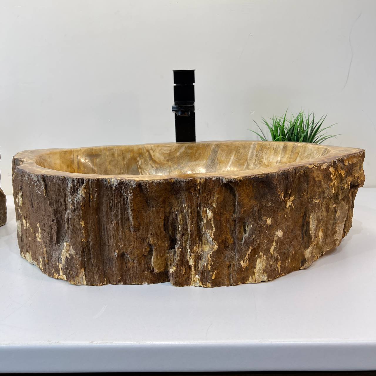 Раковина из окаменелого дерева ПАРА! OD-67003 61*34*15 из натурального камня
