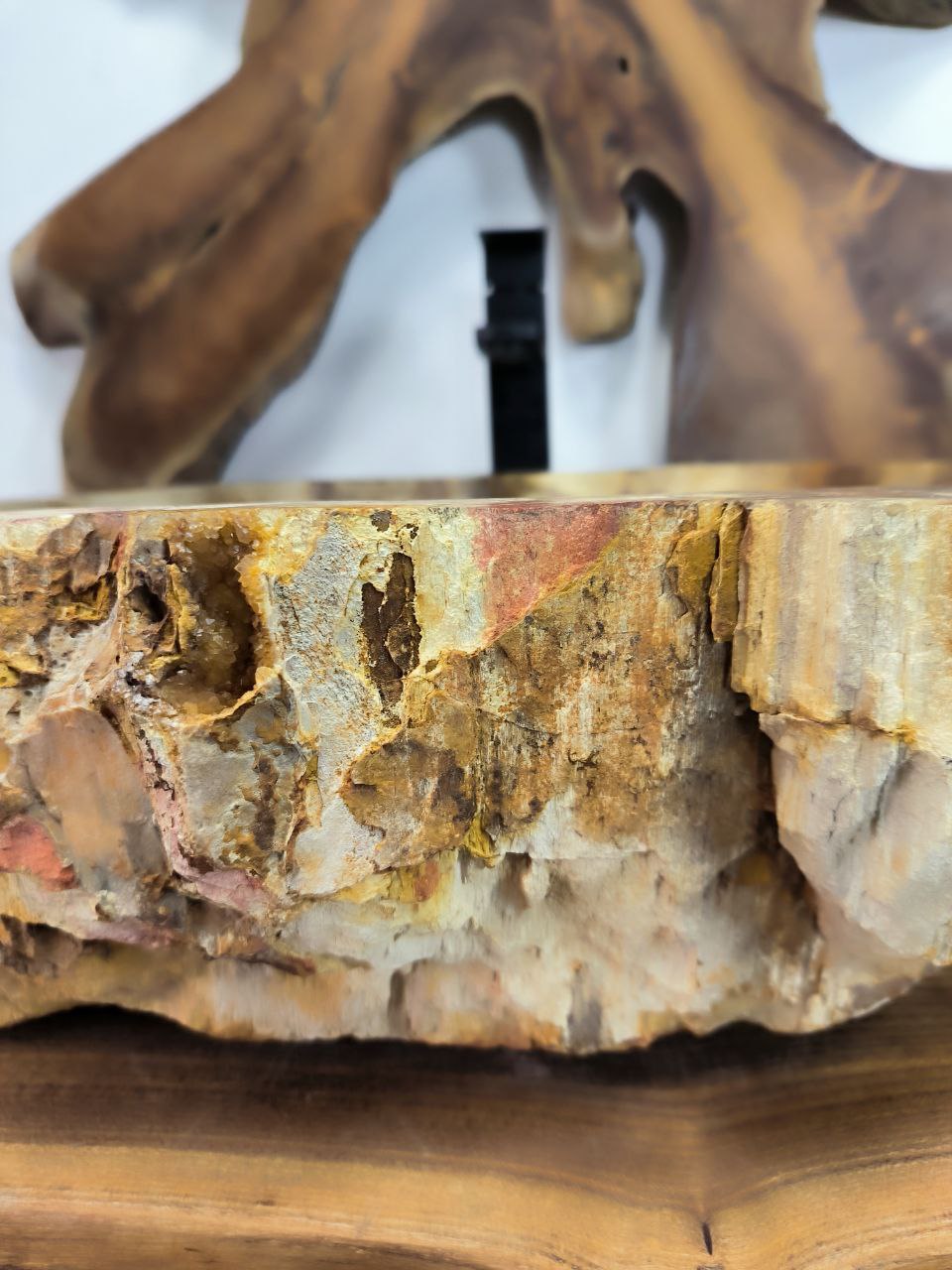 1e7e278a-6bb2-45eb-8364-e5b7e4fe5018