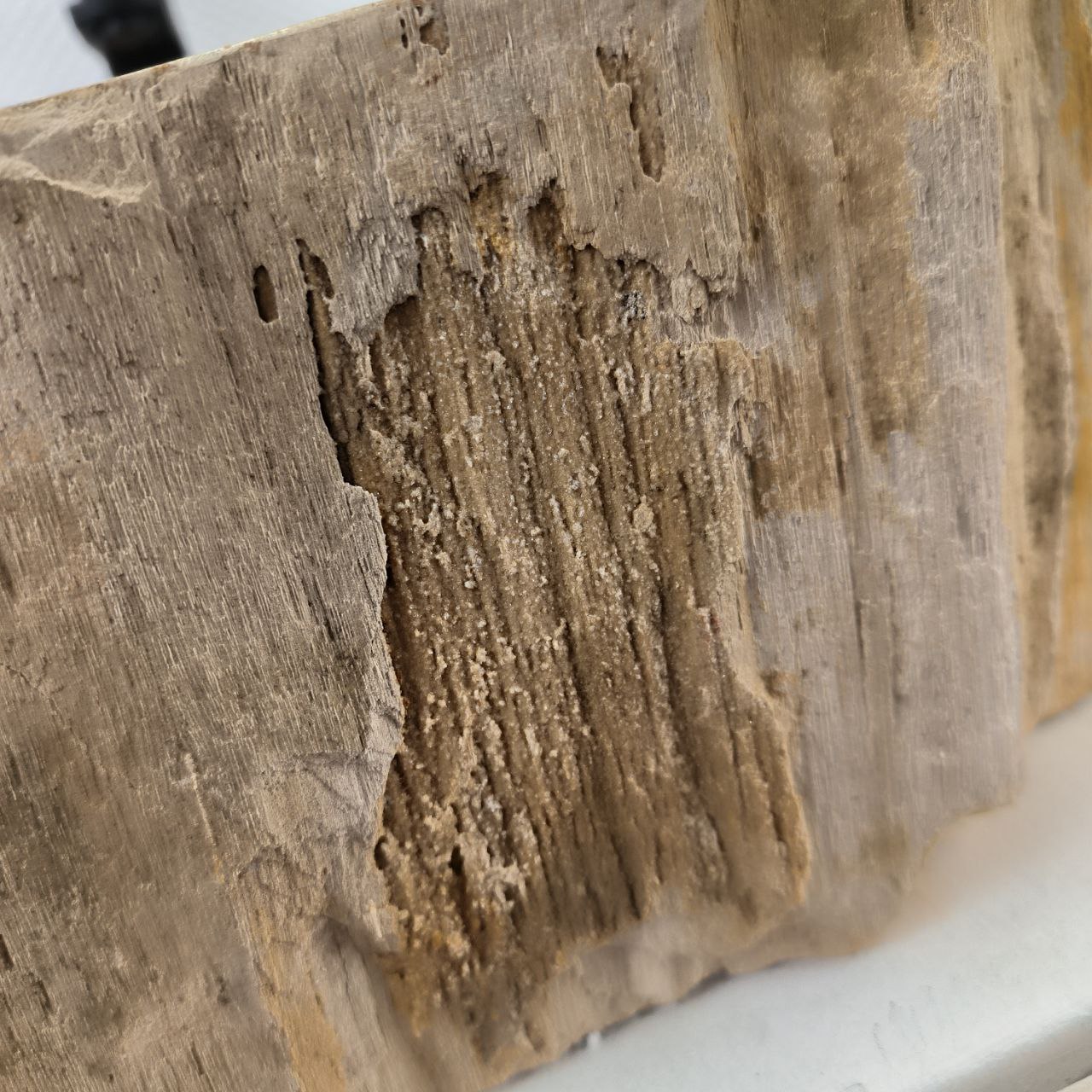 4epg2fctdvtqr7821tfrc4340d170fx4