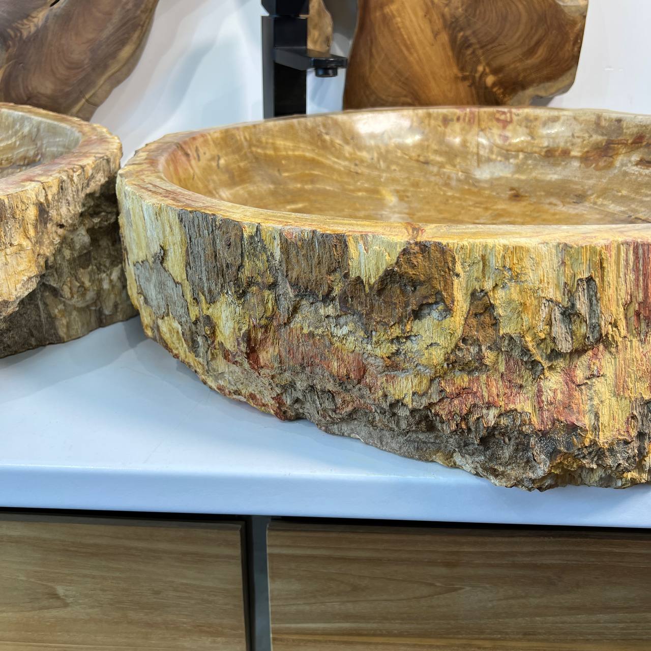 Раковина из окаменелого дерева ПАРА! OD-66878 62*55*15 из натурального камня