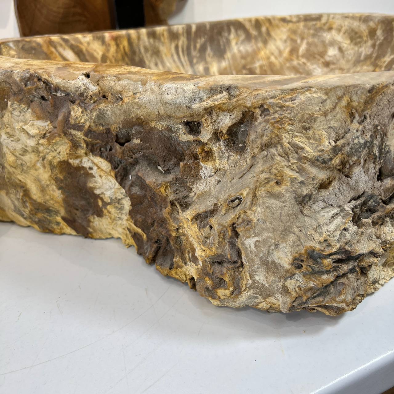 Раковина из окаменелого дерева ПАРА! OD-66877 60*47*15 из натурального камня