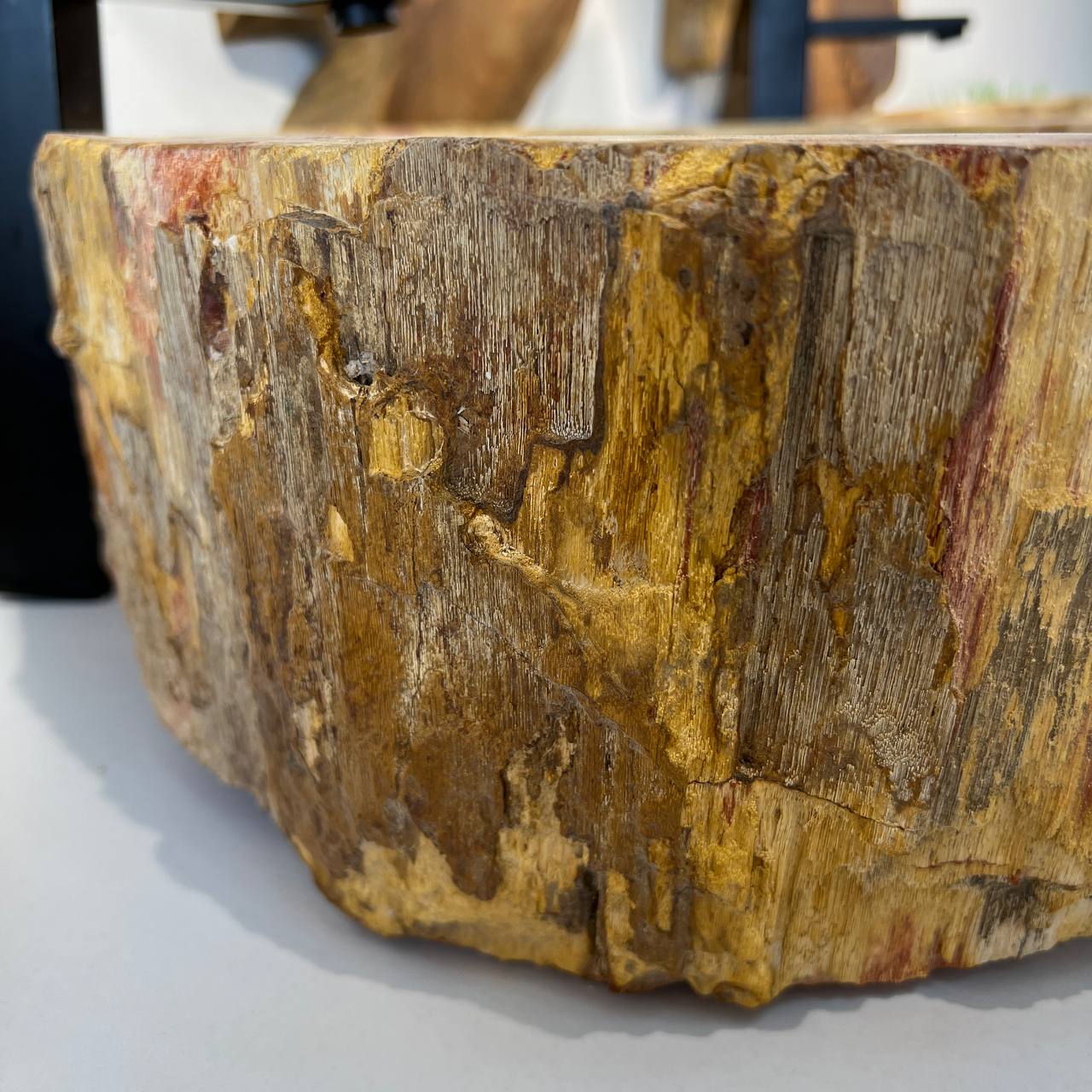 Раковина из окаменелого дерева ПАРА! OD-66878 62*55*15 из натурального камня