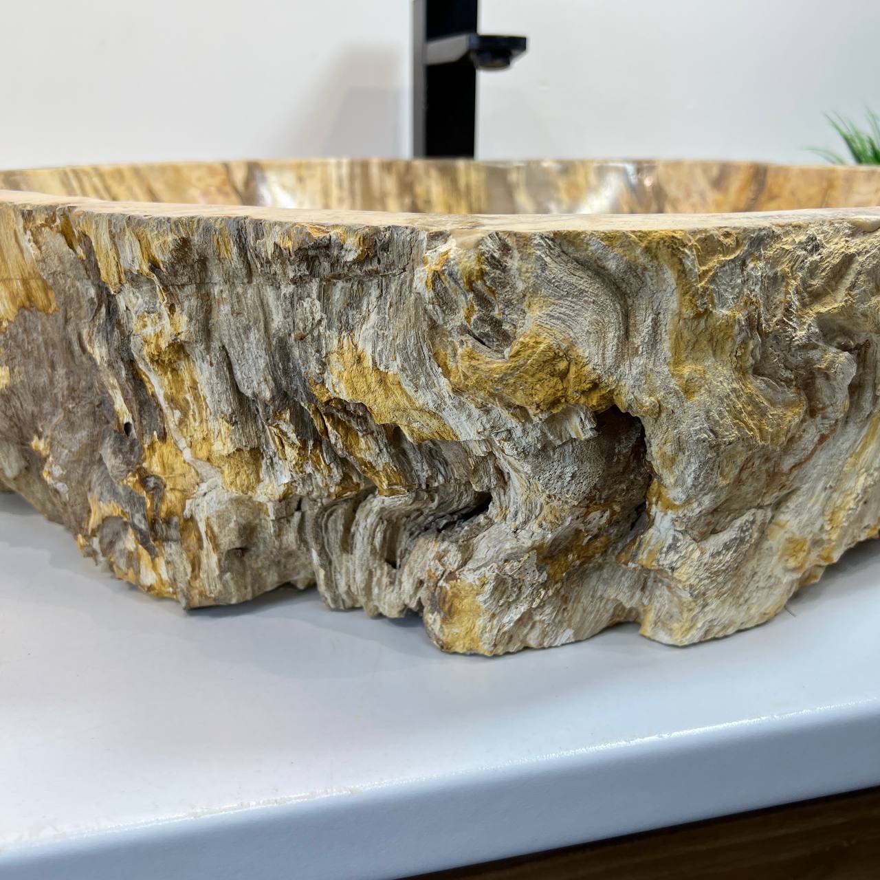 Раковина из окаменелого дерева ПАРА! OD-66907 63*49*15 из натурального камня