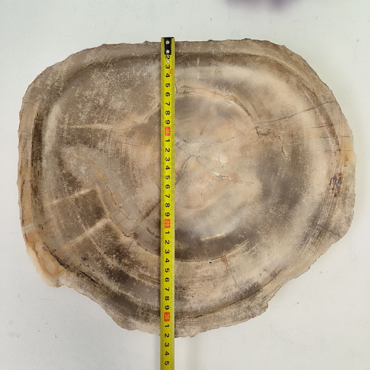 phzj1gc2d320qr9zny9sls3wob9j2k48