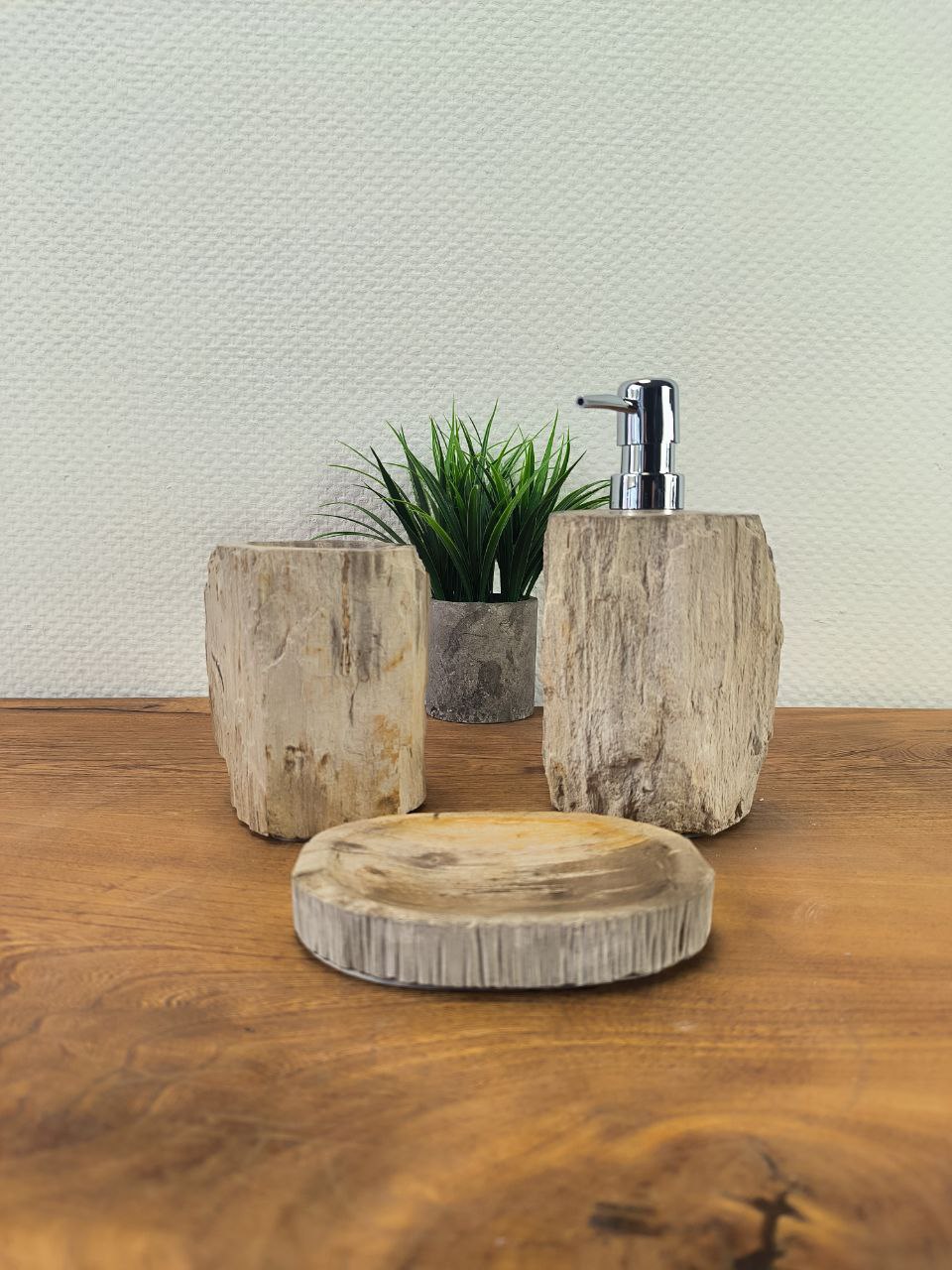 photo_2025-08-25_14-47-21