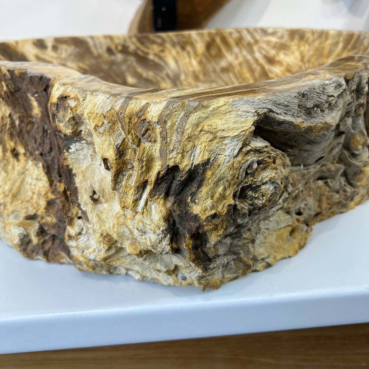 Раковина из окаменелого дерева ПАРА! OD-66877 60*47*15 из натурального камня