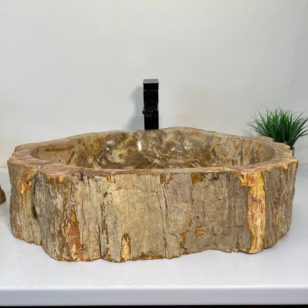Раковина из окаменелого дерева ПАРА! OD-67011 63*46*16 из натурального камня