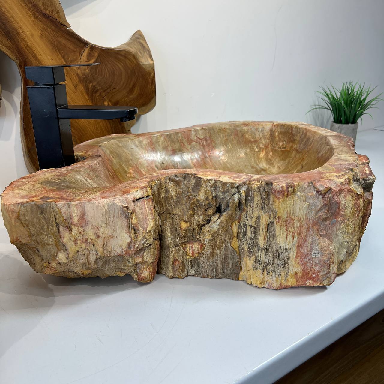 Раковина из окаменелого дерева ПАРА! OD-66876 62*45*16 из натурального камня