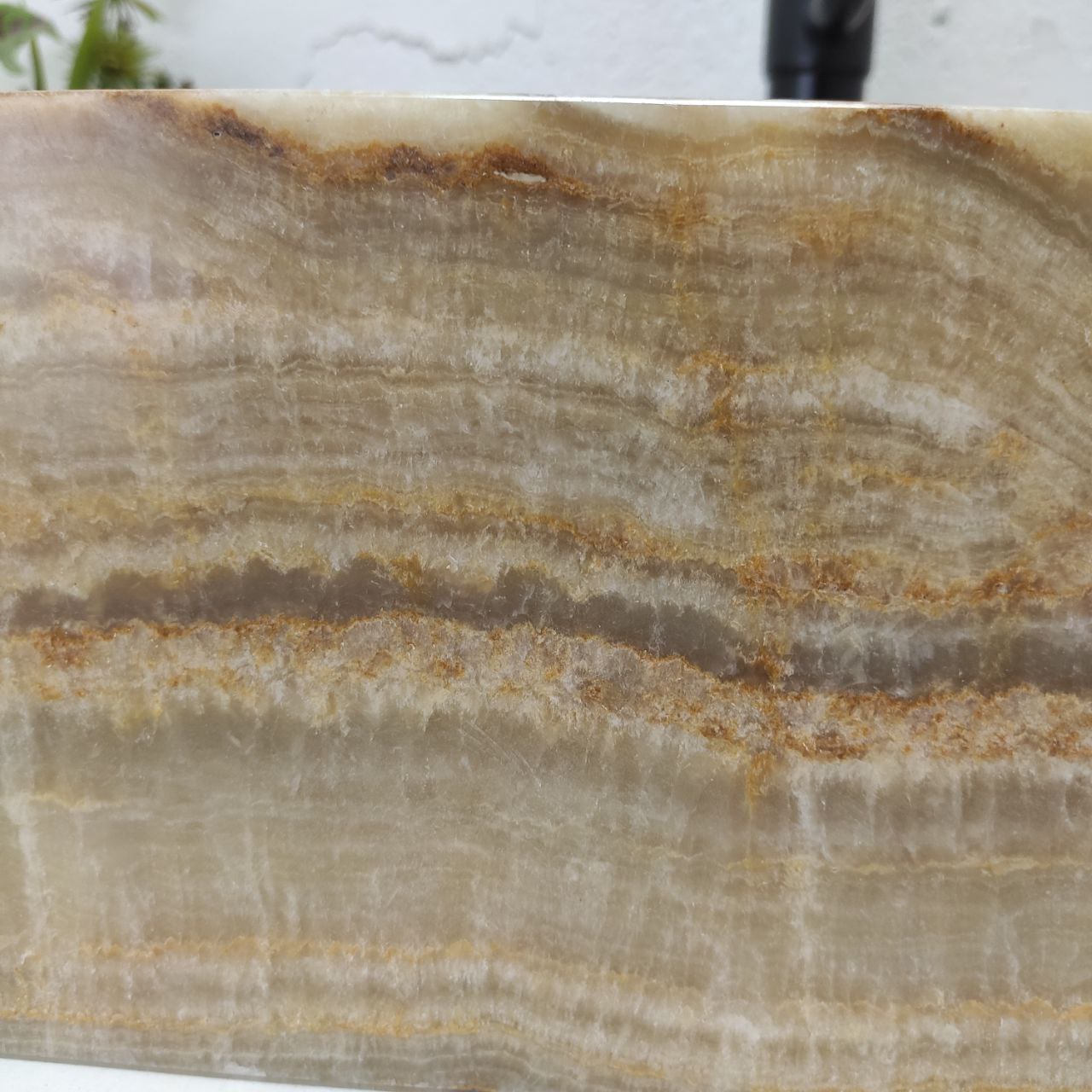 g6m82qpm2vebbw25vn48orh7d7m89o42