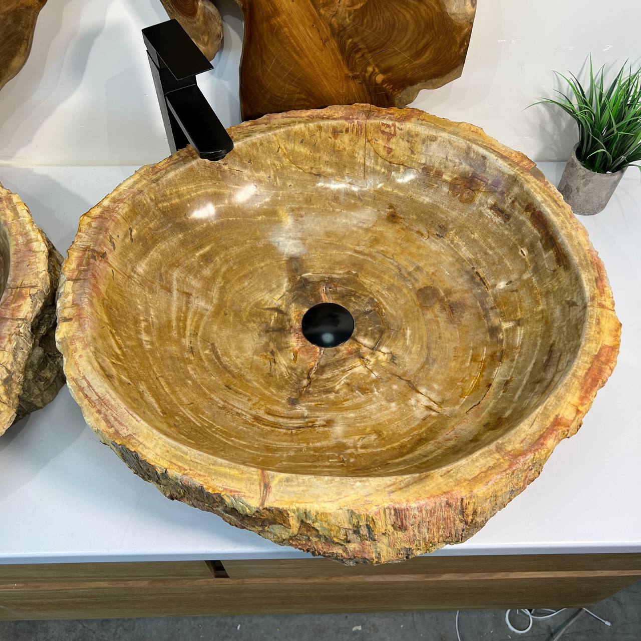 Раковина из окаменелого дерева ПАРА! OD-66878 62*55*15 из натурального камня