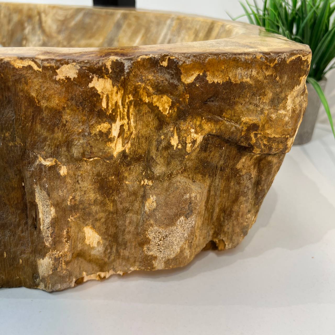 Раковина из окаменелого дерева ПАРА! OD-67003 61*34*15 из натурального камня