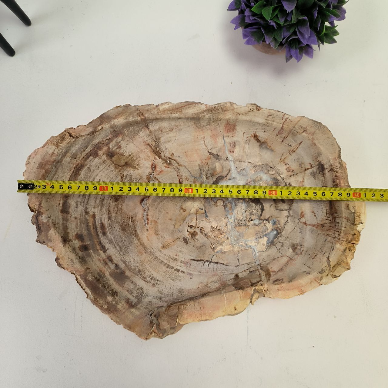 Набор из окаменелого дерева 3 предм Fossil Set NF-63079 поднос 28см*41см