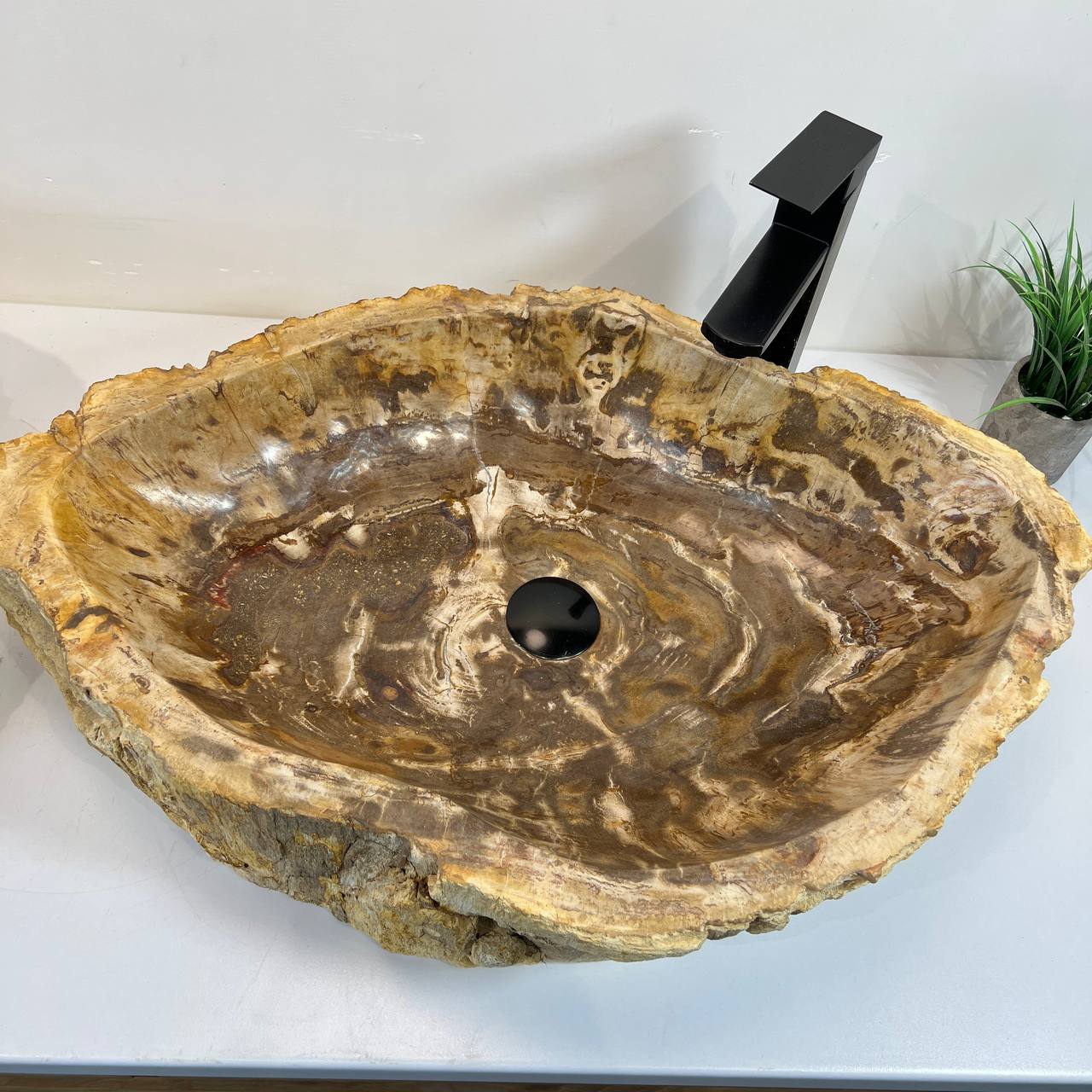 Раковина из окаменелого дерева ПАРА! OD-66906 70*47*15 из натурального камня