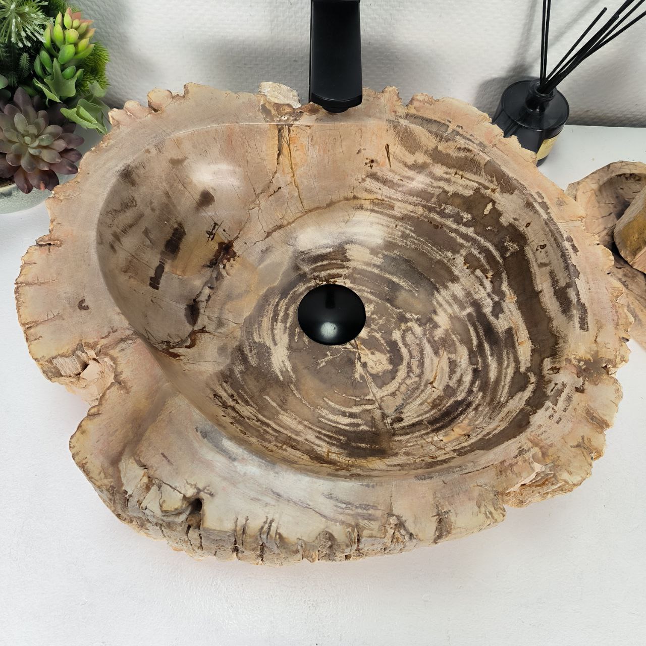 jxrb8f0qioost75d6xzddbb05dcyjtdb