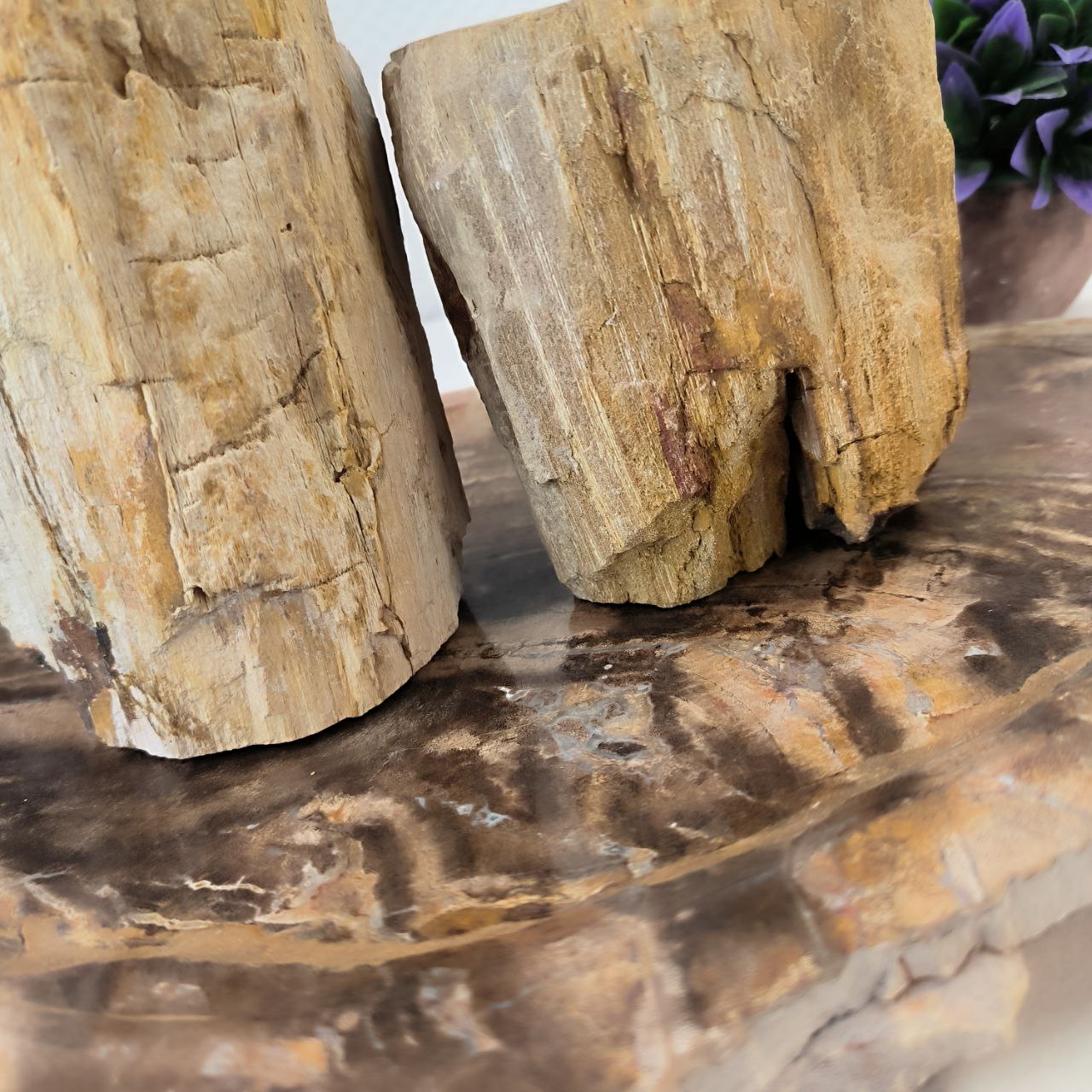 r2mqfhx09tat7cid88gvg8or9uzgobf6