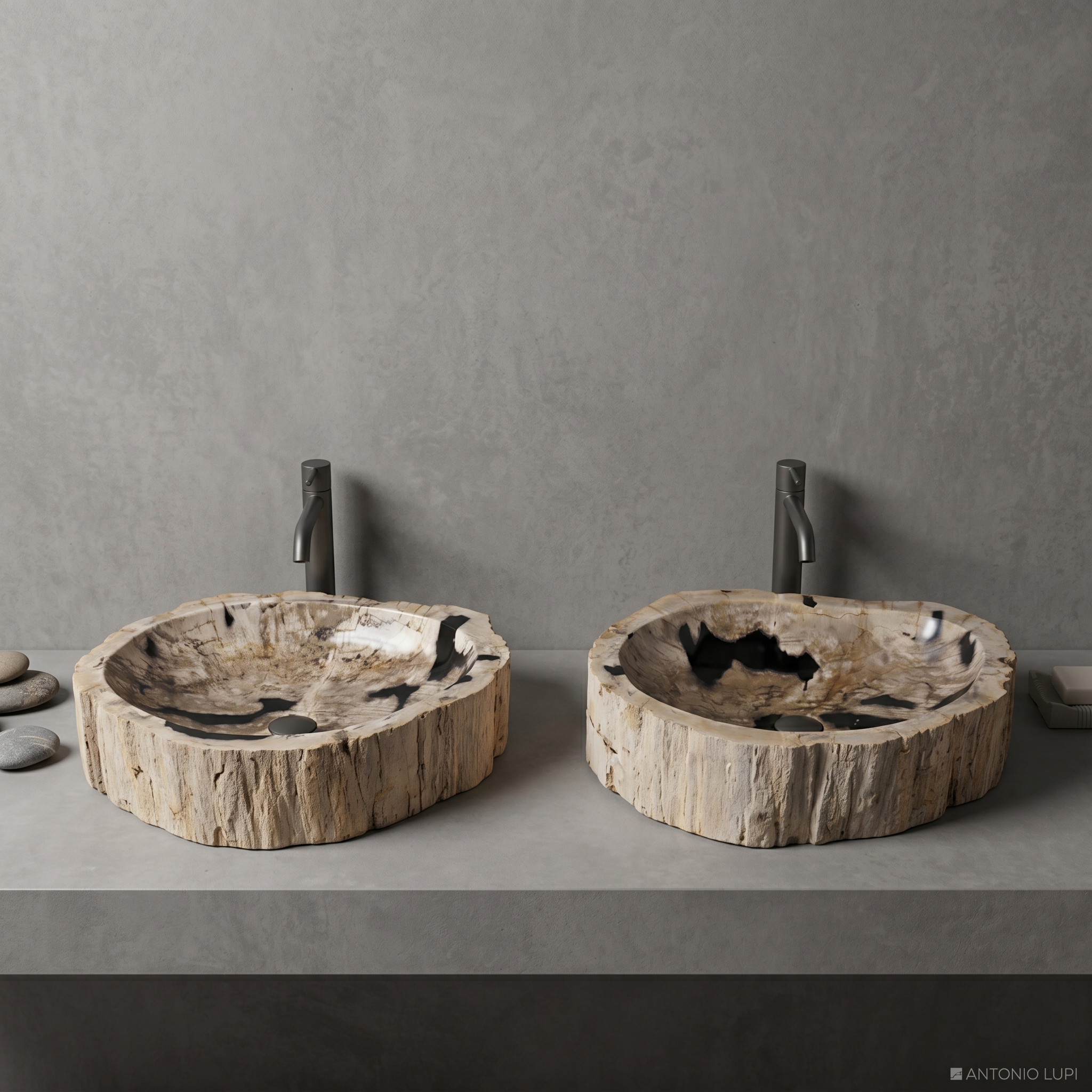 Парные раковины 