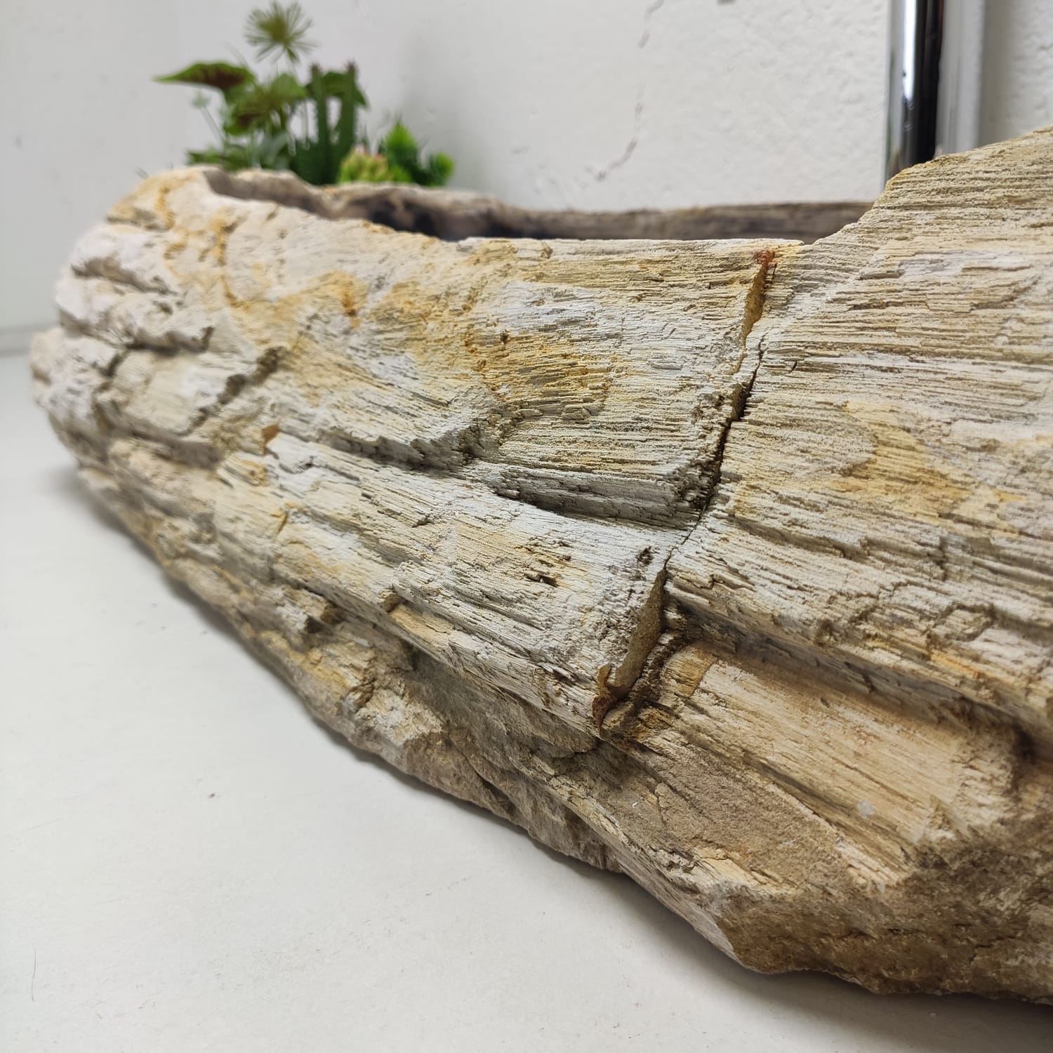 4nnmjhm8iczzsiw9asarjffq71mfyqjg