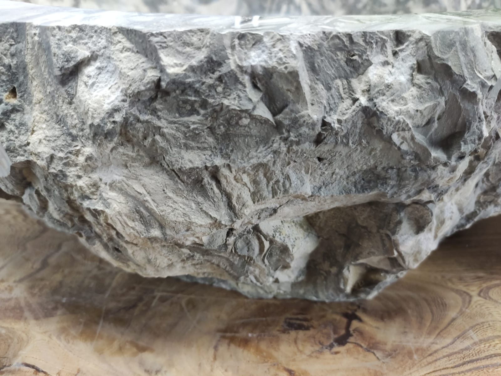 xxjeludnz3vb14jtp9zfddbt2zwxhj31