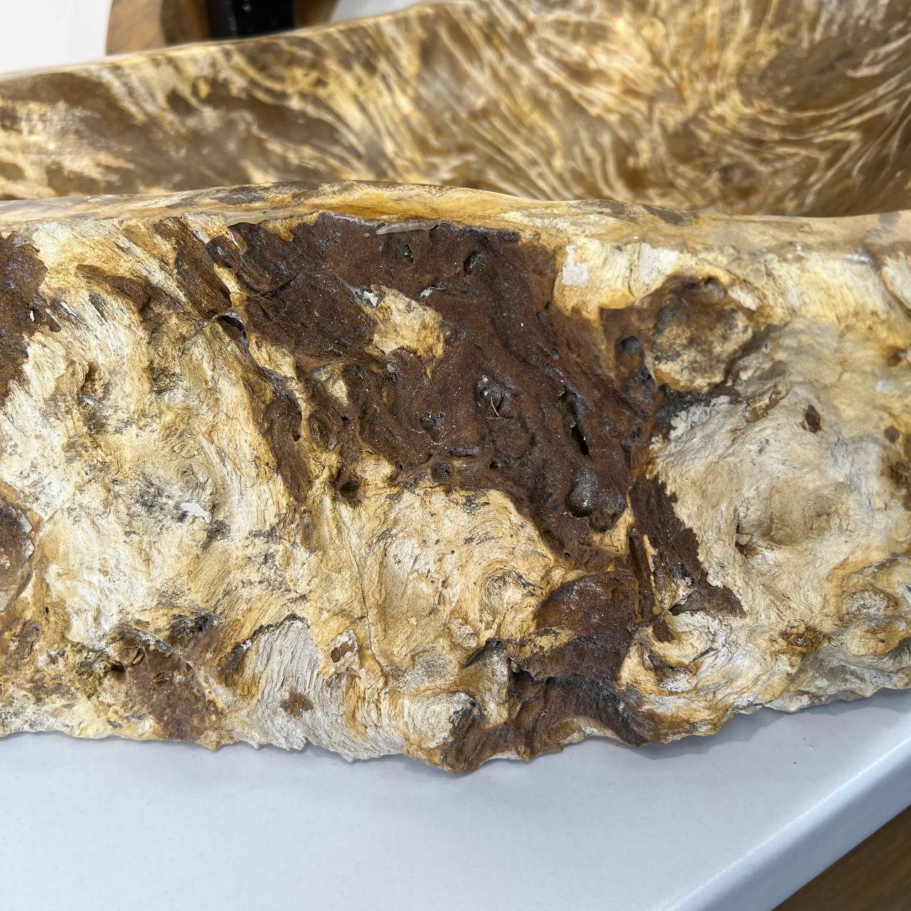 Раковина из окаменелого дерева ПАРА! OD-66877 60*47*15 из натурального камня