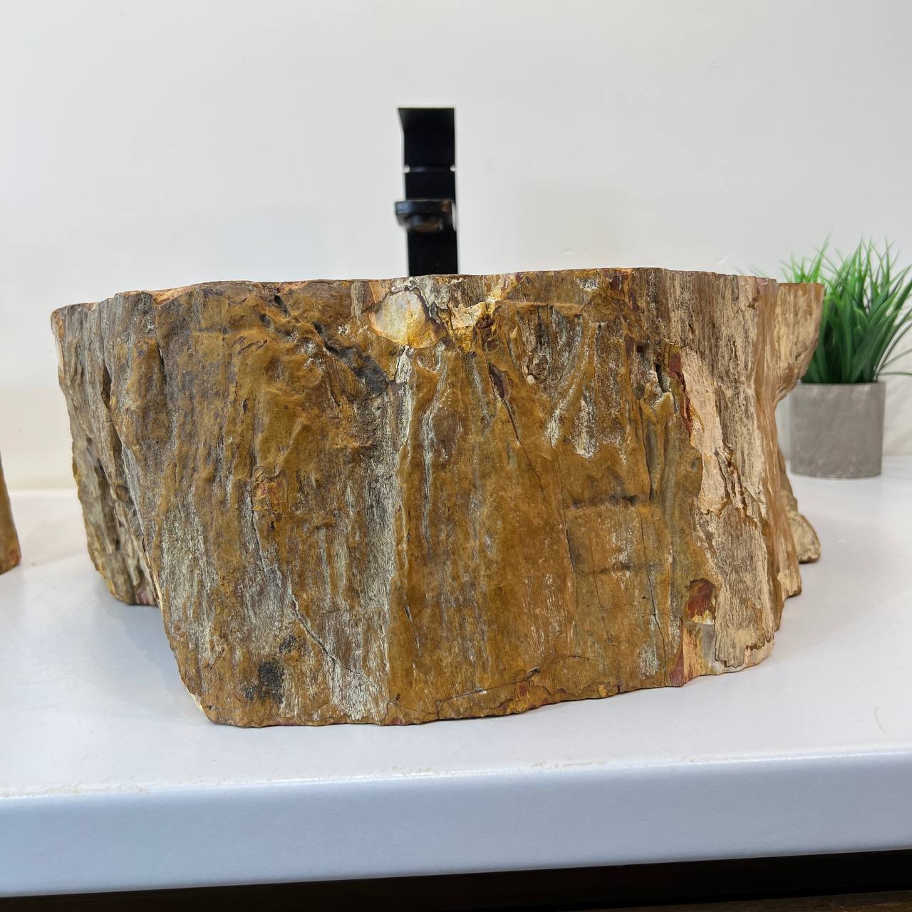 Раковина из окаменелого дерева ПАРА! OD-67004 51*44*16 из натурального камня