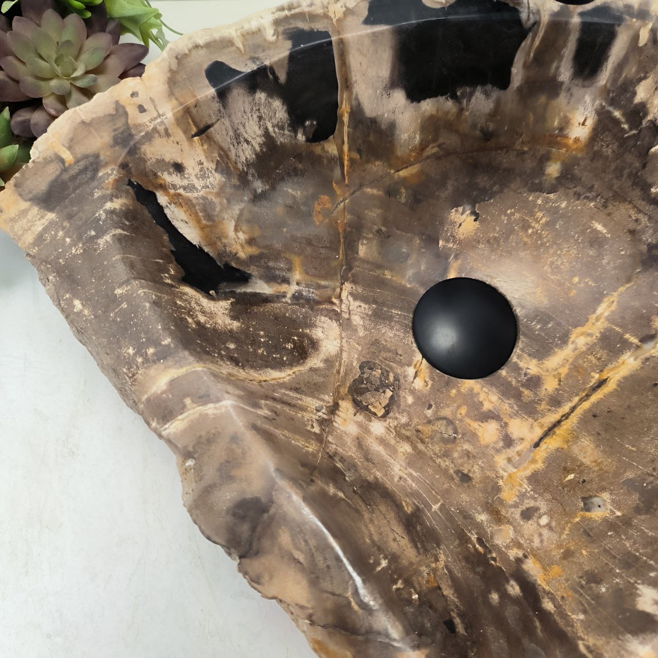 r6197oj57k1fz470l2qo5xmz61tggo2l