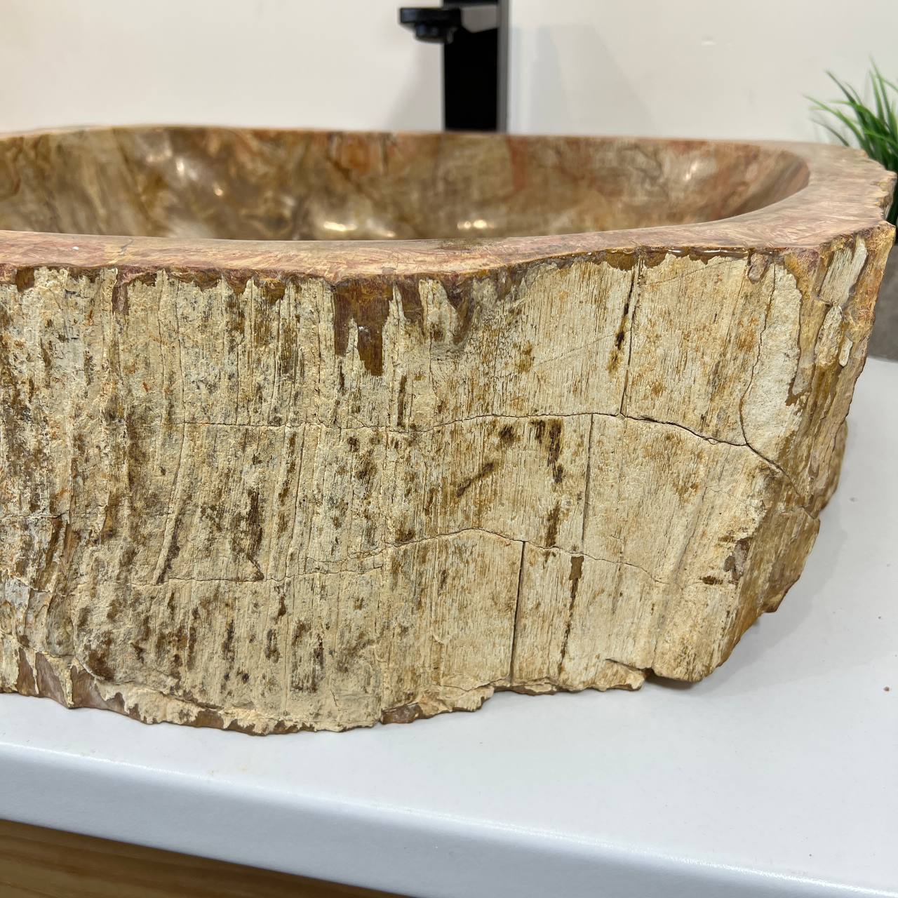 Раковина из окаменелого дерева ПАРА! OD-66879 55*45*16 из натурального камня
